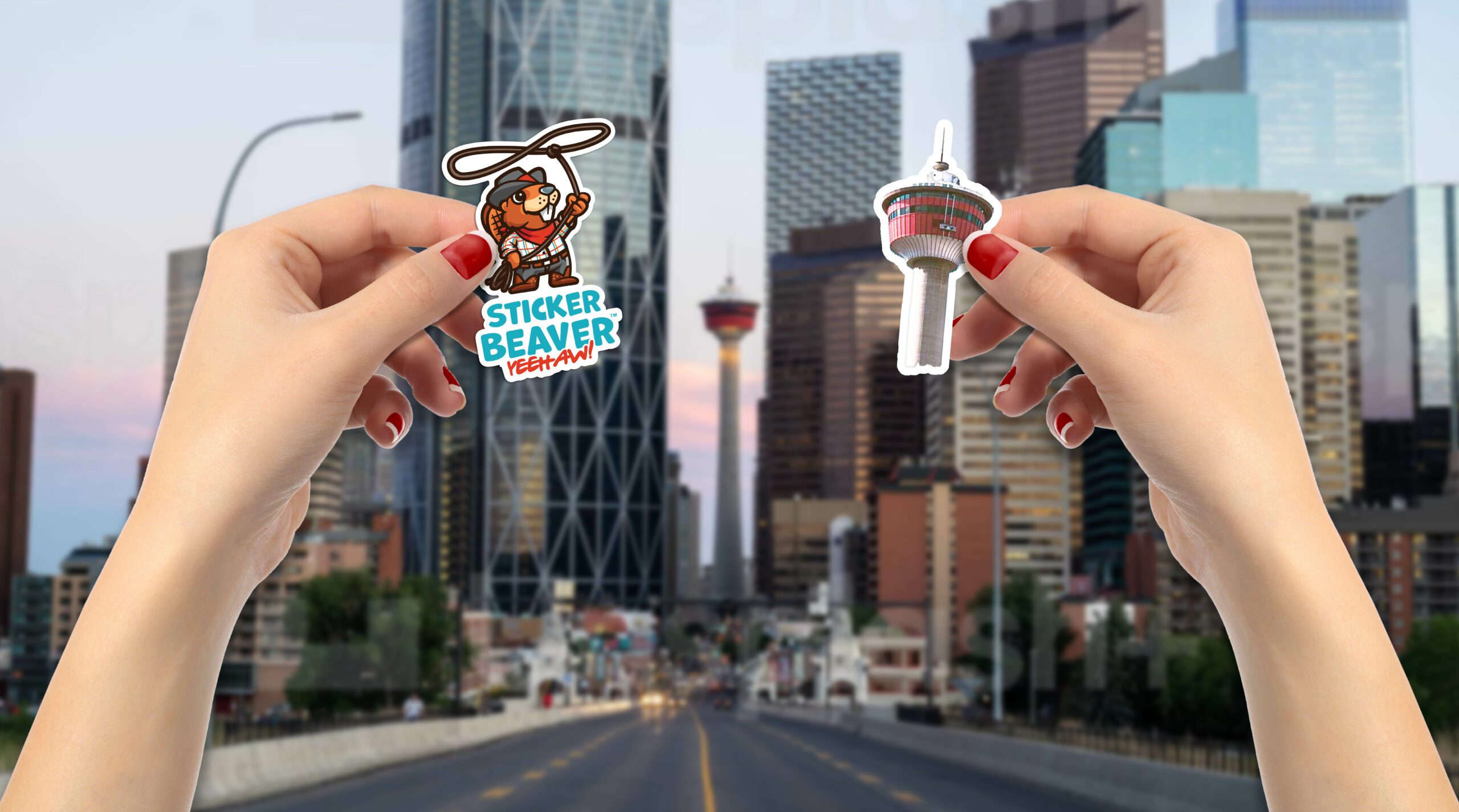 Die Cut Vinyl Stickers and Labels in Calgary Sticker Beaver®